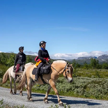 By Cross-country And Alpine Slopes Beitostolen