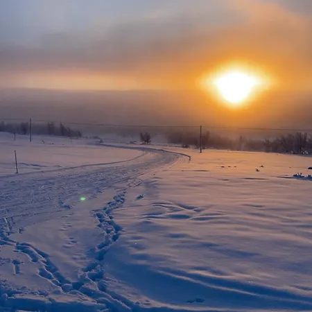 By Cross-country And Alpine Slopes