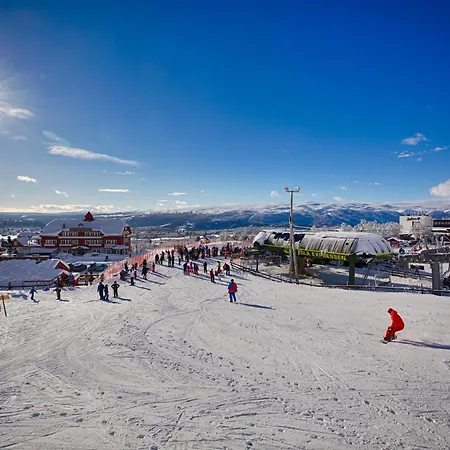 By Cross-country And Alpine Slopes