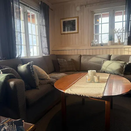 Apartament By Cross-country And Alpine Slopes Beitostolen